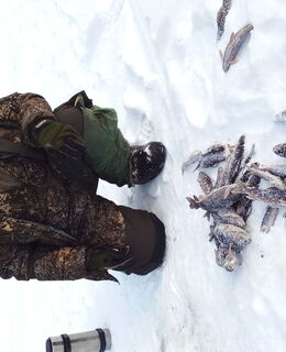 Максим — фото 4