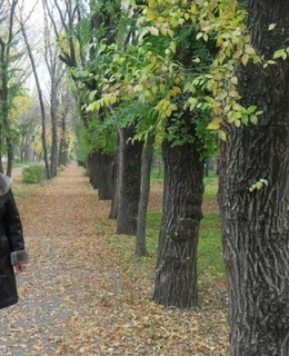 Ганифа — фото 4